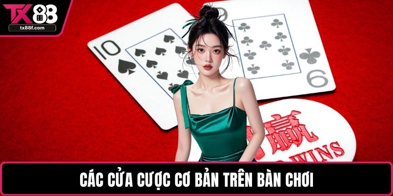 Các cửa cược cơ bản trên bàn chơi